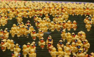 rubber ducks