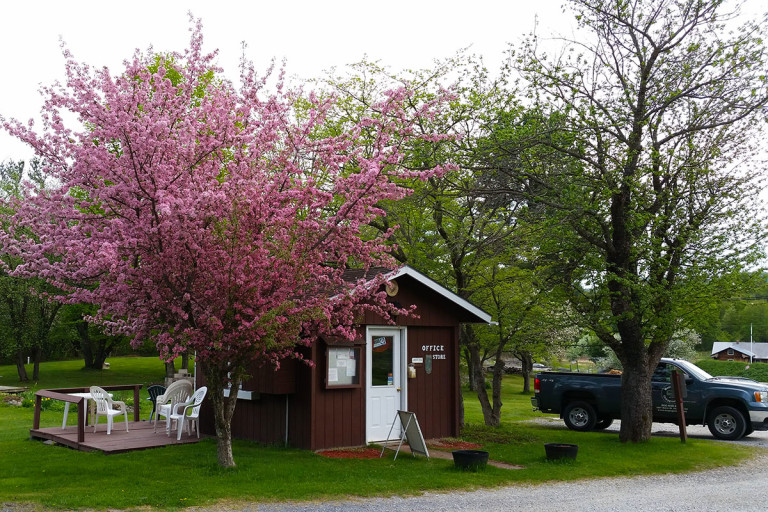 office of Maple Grove