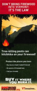 Don't bring firewood into VT